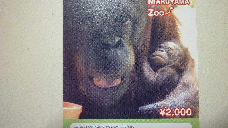 札幌 円山動物園 年間パスポート